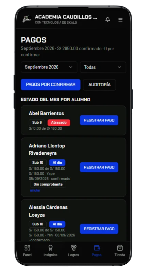 Panel de pagos en celular